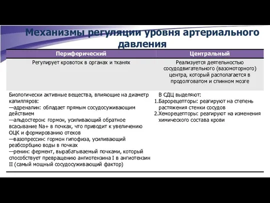 Механизмы регуляции уровня артериального давления