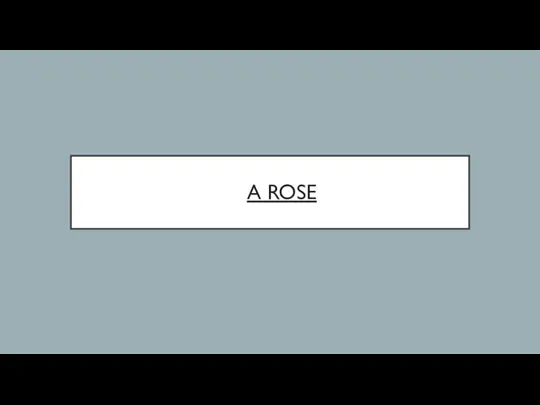 A ROSE