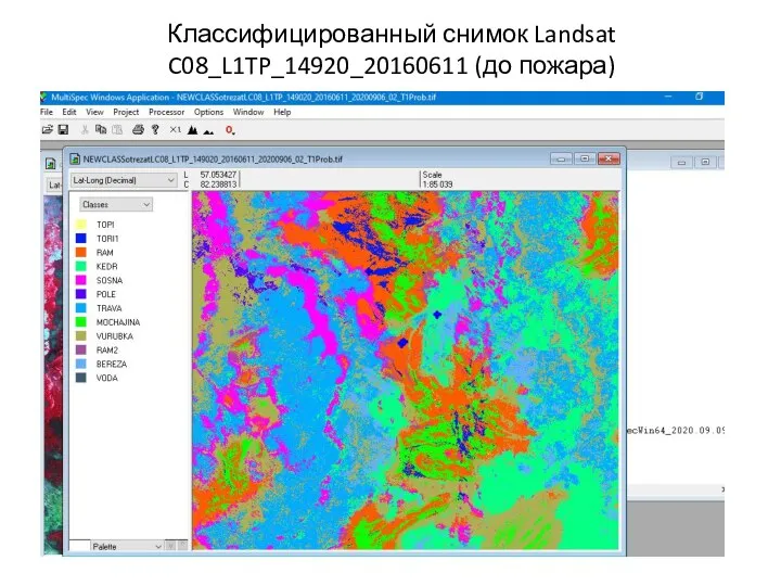 Классифицированный снимок Landsat C08_L1TP_14920_20160611 (до пожара)