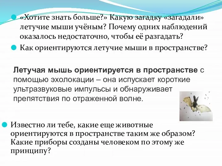 «Хотите знать больше?» Какую загадку «загадали» летучие мыши учёным? Почему одних наблюдений