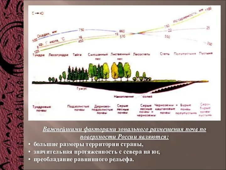 Важнейшими факторами зонального размещения почв по поверхности России являются: большие размеры территории