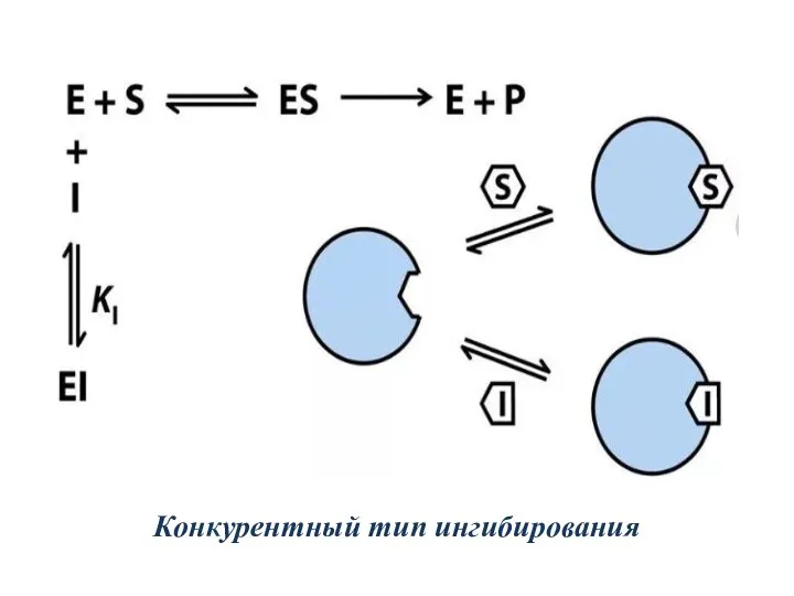 Конкурентный тип ингибирования