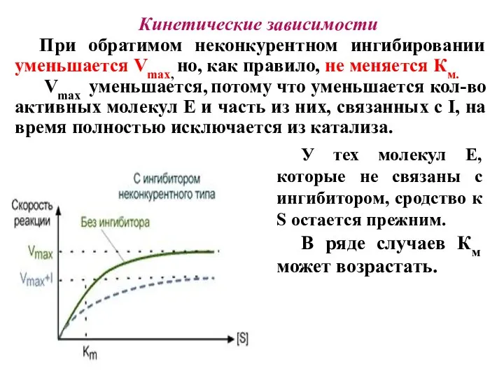 Кинетические зависимости При обратимом неконкурентном ингибировании уменьшается Vmax, но, как правило, не