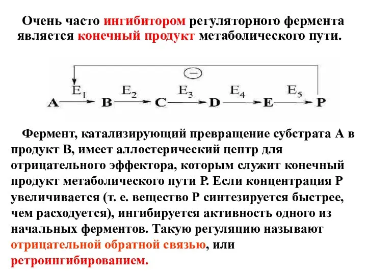 Очень часто ингибитором регуляторного фермента является конечный продукт метаболического пути. Фермент, катализирующий