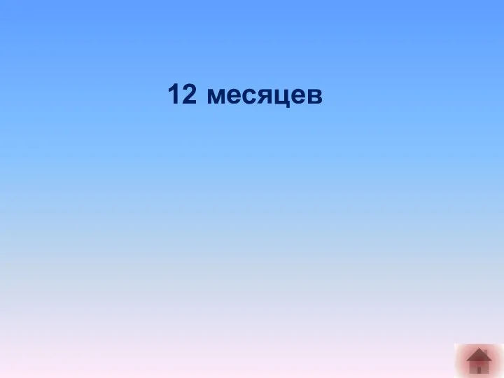 12 месяцев