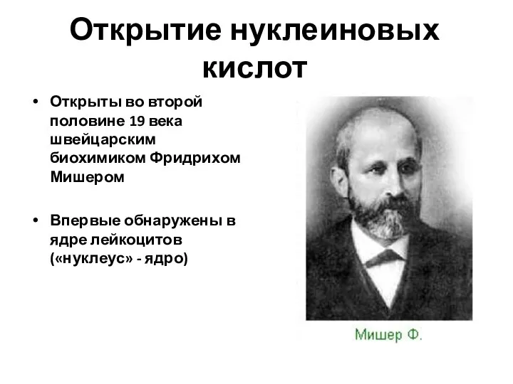 Открытие нуклеиновых кислот Открыты во второй половине 19 века швейцарским биохимиком Фридрихом