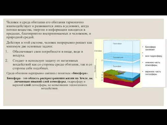 Человек и среда обитания его обитания гармонично взаимодействует и развиваются лишь в