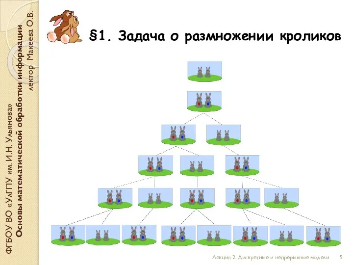 §1. Задача о размножении кроликов ФГБОУ ВО «УлГПУ им. И.Н. Ульянова» Основы