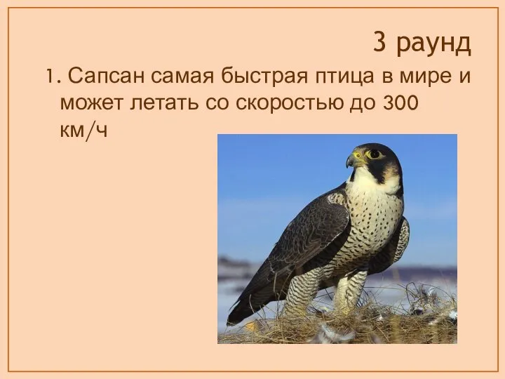 1. Сапсан самая быстрая птица в мире и может летать со скоростью