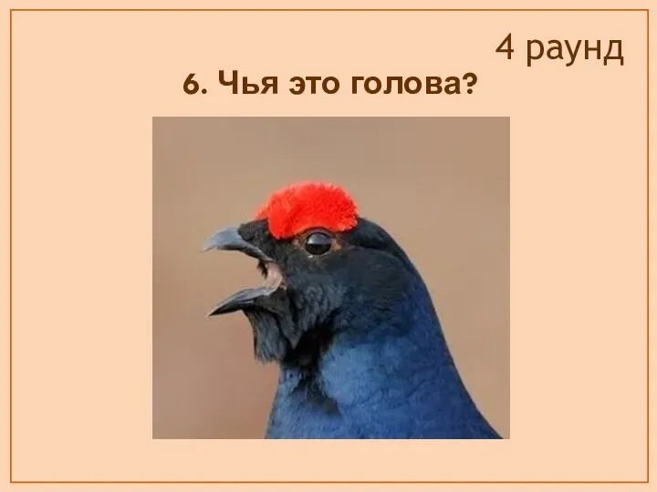 6. Чья это голова? 4 раунд