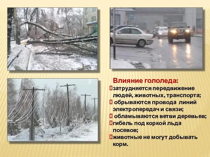 Влияние гололеда: затрудняется передвижение людей, животных, транспорта; обрываются провода линий электропередач и