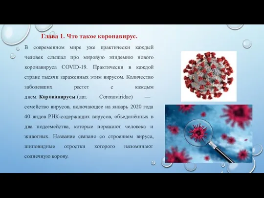 Глава 1. Что такое коронавирус. В современном мире уже практически каждый человек