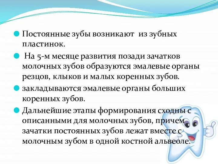 Постоянные зубы возникают из зубных пластинок. На 5-м месяце развития позади зачатков