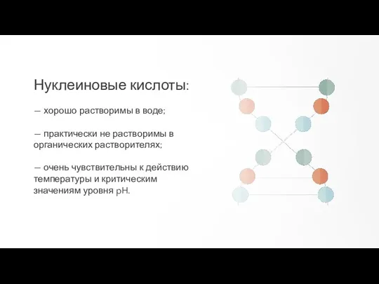 Нуклеиновые кислоты: — хорошо растворимы в воде; — практически не растворимы в