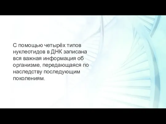 С помощью четырёх типов нуклеотидов в ДНК записана вся важная информация об