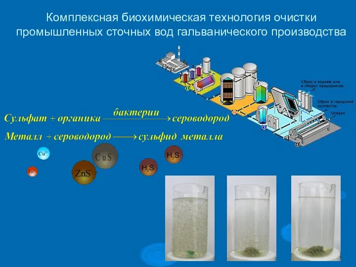 Комплексная биохимическая технология очистки промышленных сточных вод гальванического производства