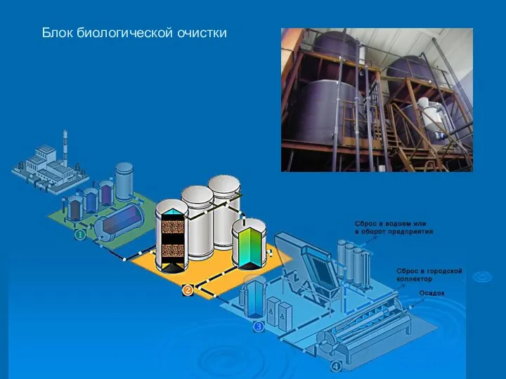 Блок биологической очистки