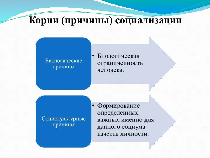 Корни (причины) социализации