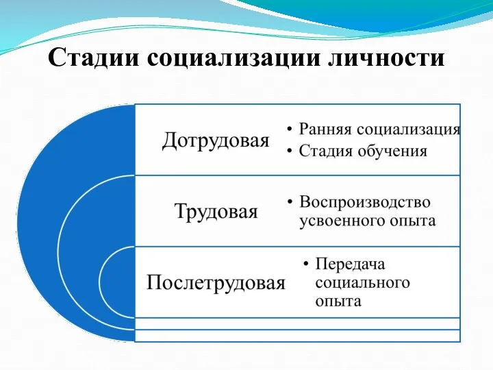 Стадии социализации личности