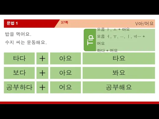 V아/어요 37쪽 문법 1 밥을 먹어요. 수지 씨는 운동해요. Tip 모음 ㅏ,