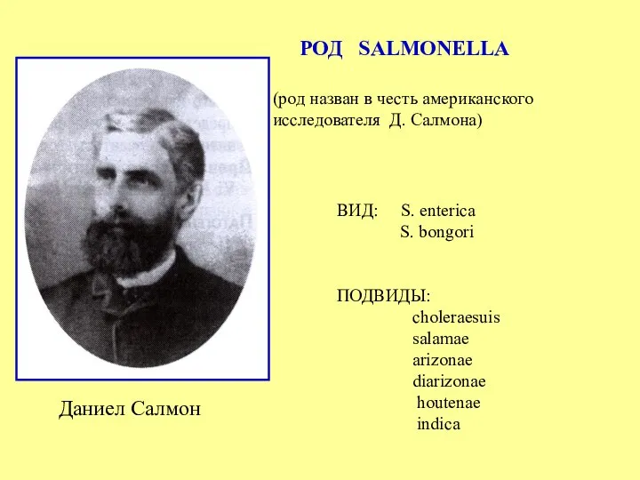 Даниел Салмон (род назван в честь американского исследователя Д. Салмона) РОД SALMONELLA