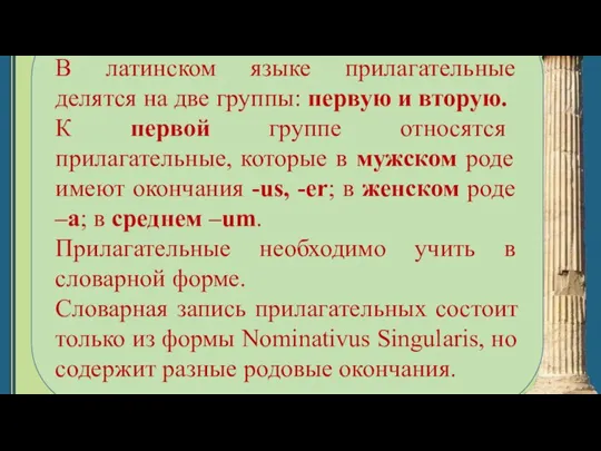 В латинском языке прилагательные делятся на две группы: первую и вторую. К