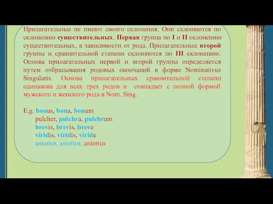 Прилагательные не имеют своего склонения. Они склоняются по склонению существительных. Первая группа