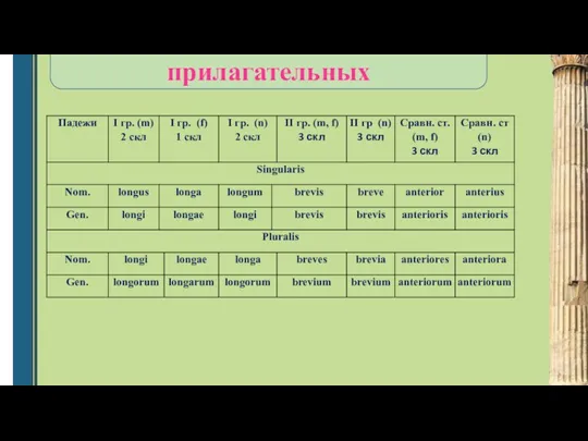 Образец склонения прилагательных