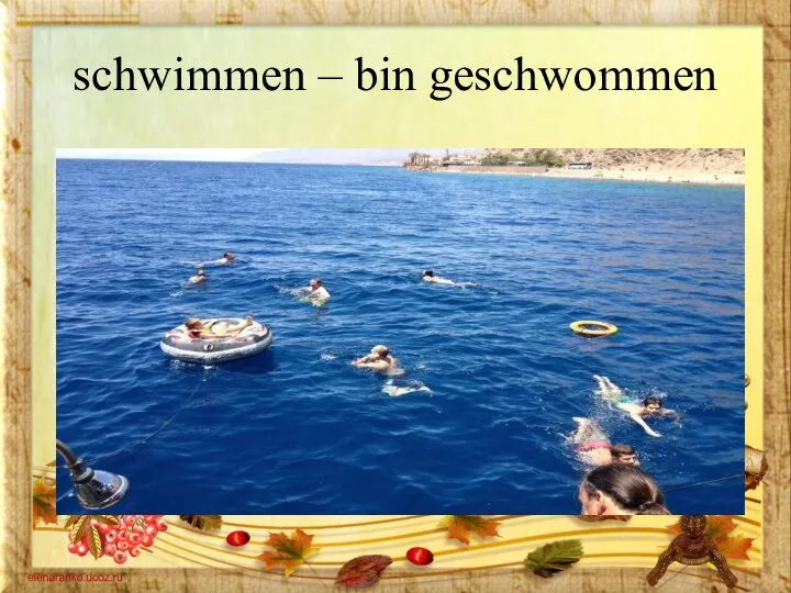 schwimmen – bin geschwommen