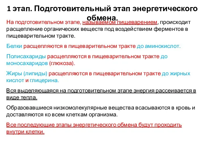 1 этап. Подготовительный этап энергетического обмена. На подготовительном этапе, называемом пищеварением, происходит