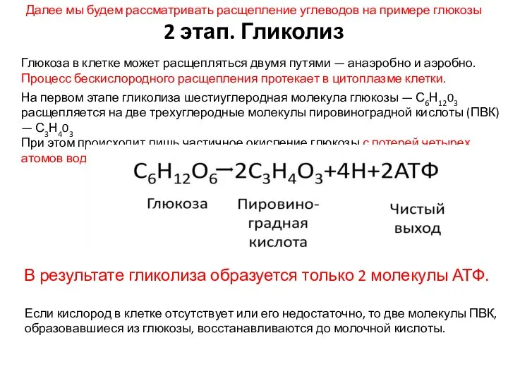 Далее мы будем рассматривать расщепление углеводов на примере глюкозы 2 этап. Гликолиз