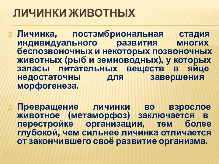 ЛИЧИНКИ ЖИВОТНЫХ Личинка, постэмбриональная стадия индивидуального развития многих беспозвоночных и некоторых позвоночных