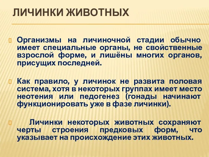 ЛИЧИНКИ ЖИВОТНЫХ Организмы на личиночной стадии обычно имеет специальные органы, не свойственные