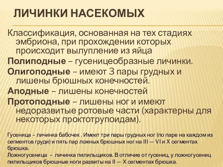 ЛИЧИНКИ НАСЕКОМЫХ Классификация, основанная на тех стадиях эмбриона, при прохождении которых происходит