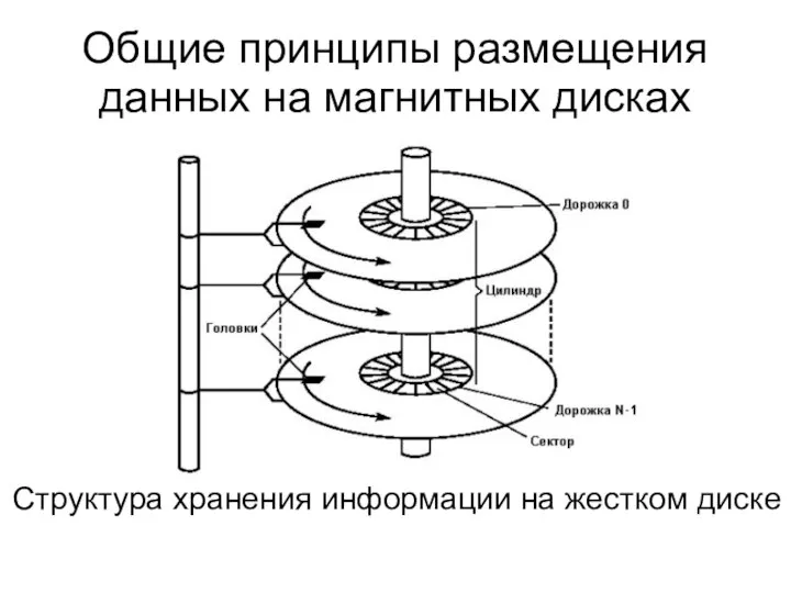 Общие принципы размещения данных на магнитных дисках Структура хранения информации на жестком диске