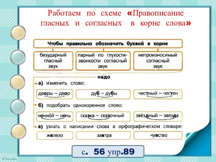 Работаем по схеме «Правописание гласных и согласных в корне слова» с. 56 упр.89