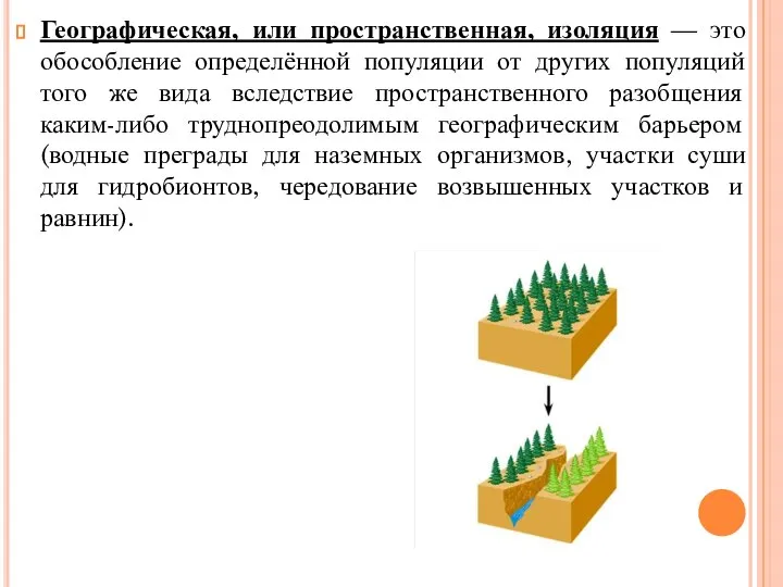 Географическая, или пространственная, изоляция — это обособление определённой популяции от других популяций