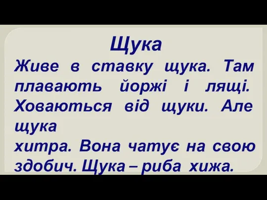 Щука Живе в ставку щука. Там плавають йоржі і лящі. Ховаються від