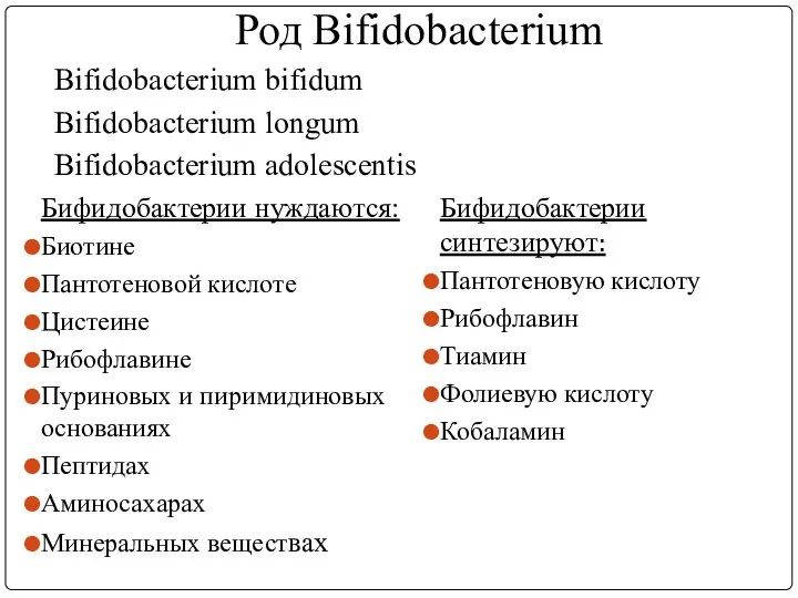 Род Bifidobacterium Bifidobacterium bifidum Bifidobacterium longum Bifidobacterium adolescentis Бифидобактерии нуждаются: Биотине Пантотеновой