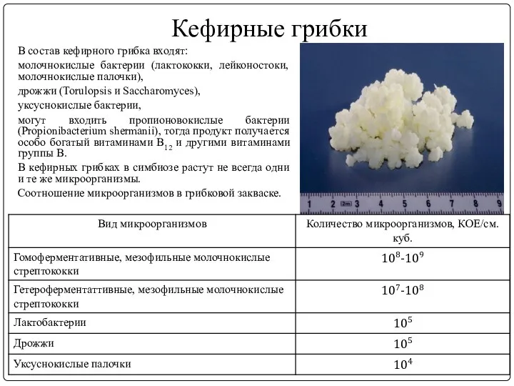 Кефирные грибки В состав кефирного грибка входят: молочнокислые бактерии (лактококки, лейконостоки, молочнокислые