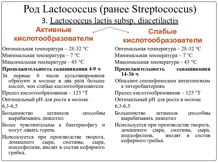 Род Lactococcus (ранее Streptococcus) 3. Lactococcus lасtis subsp. diacetilactis Активные кислотообразователи Слабые