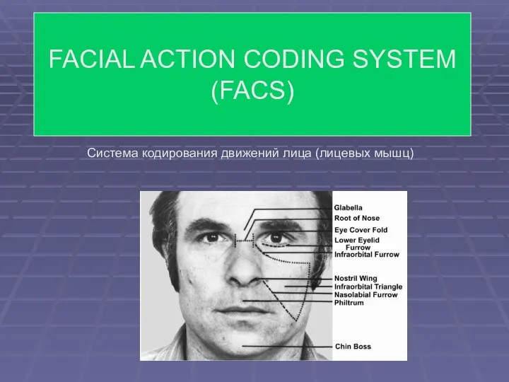 Система кодирования движений лица (лицевых мышц)