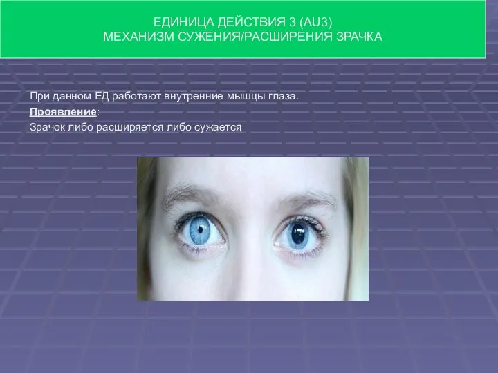 При данном ЕД работают внутренние мышцы глаза. Проявление: Зрачок либо расширяется либо