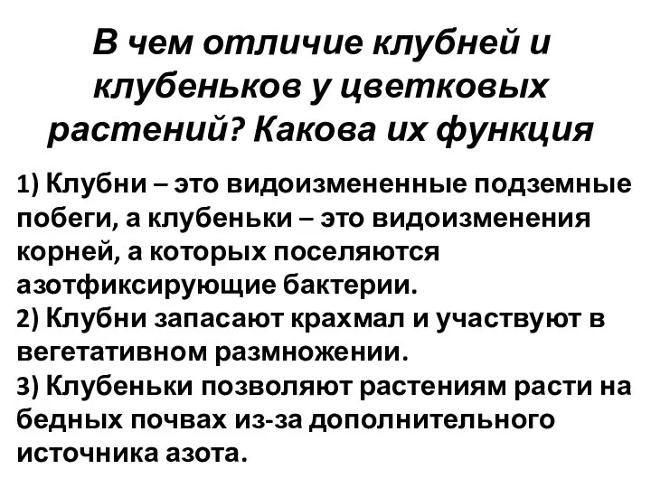 1) Клубни – это видоизмененные подземные побеги, а клубеньки – это видоизменения