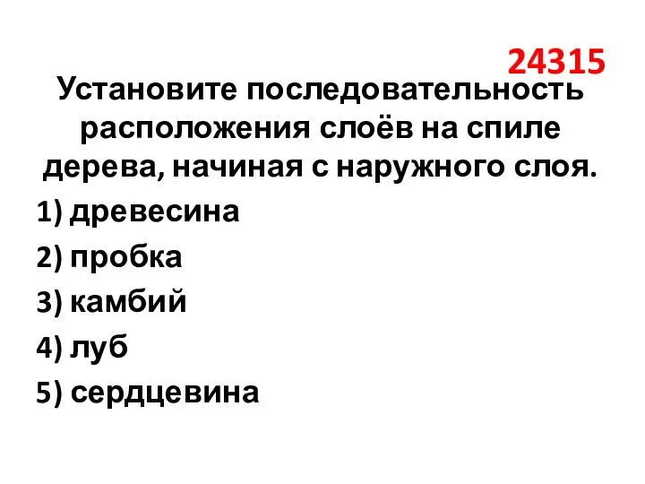 24315 Установите последовательность расположения слоёв на спиле дерева, начиная с наружного слоя.