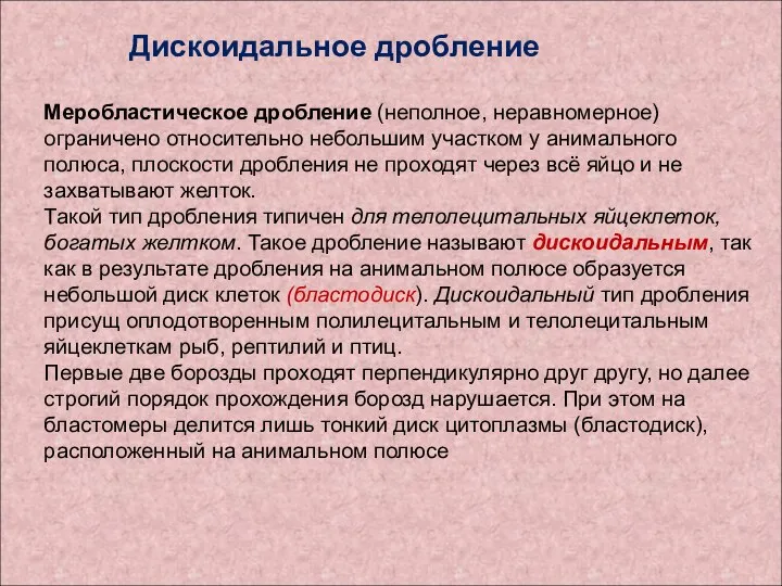 Меробластическое дробление (неполное, неравномерное) ограничено относительно небольшим участком у анимального полюса, плоскости