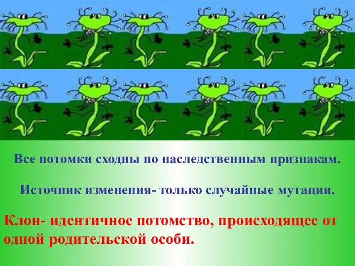 Клон- идентичное потомство, происходящее от одной родительской особи. Все потомки сходны по