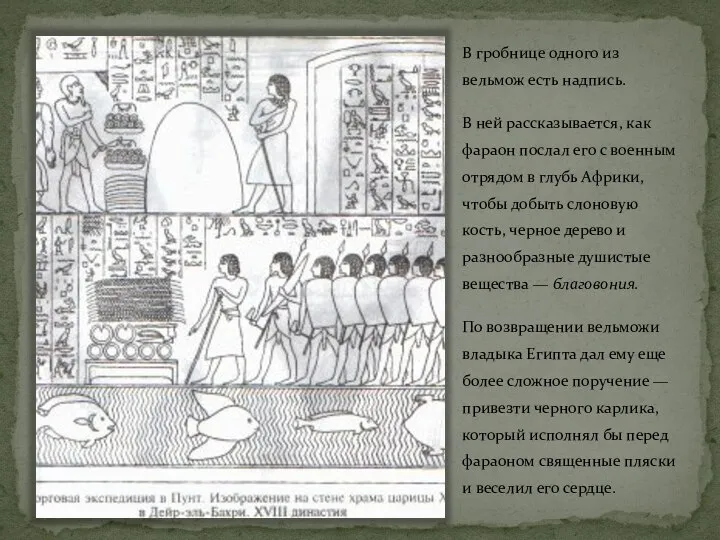 В гробнице одного из вельмож есть надпись. В ней рассказывается, как фараон