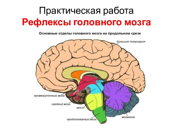 Практическая работа