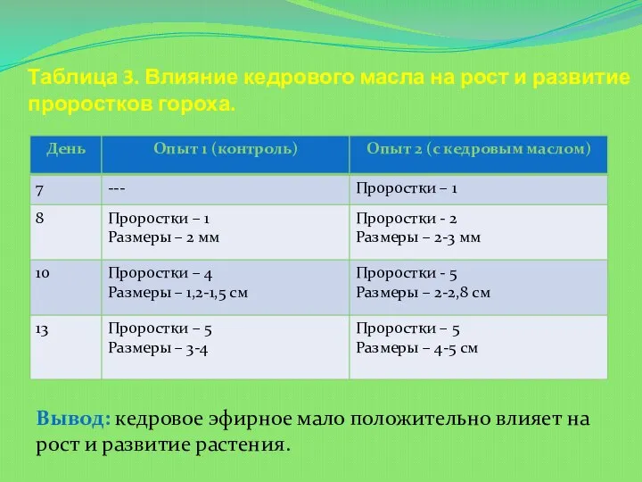 Таблица 3. Влияние кедрового масла на рост и развитие проростков гороха. Вывод: